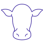 Cow icon