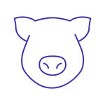 Pig icon