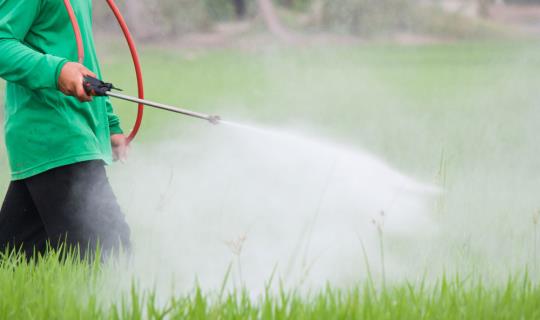 Man Spraying