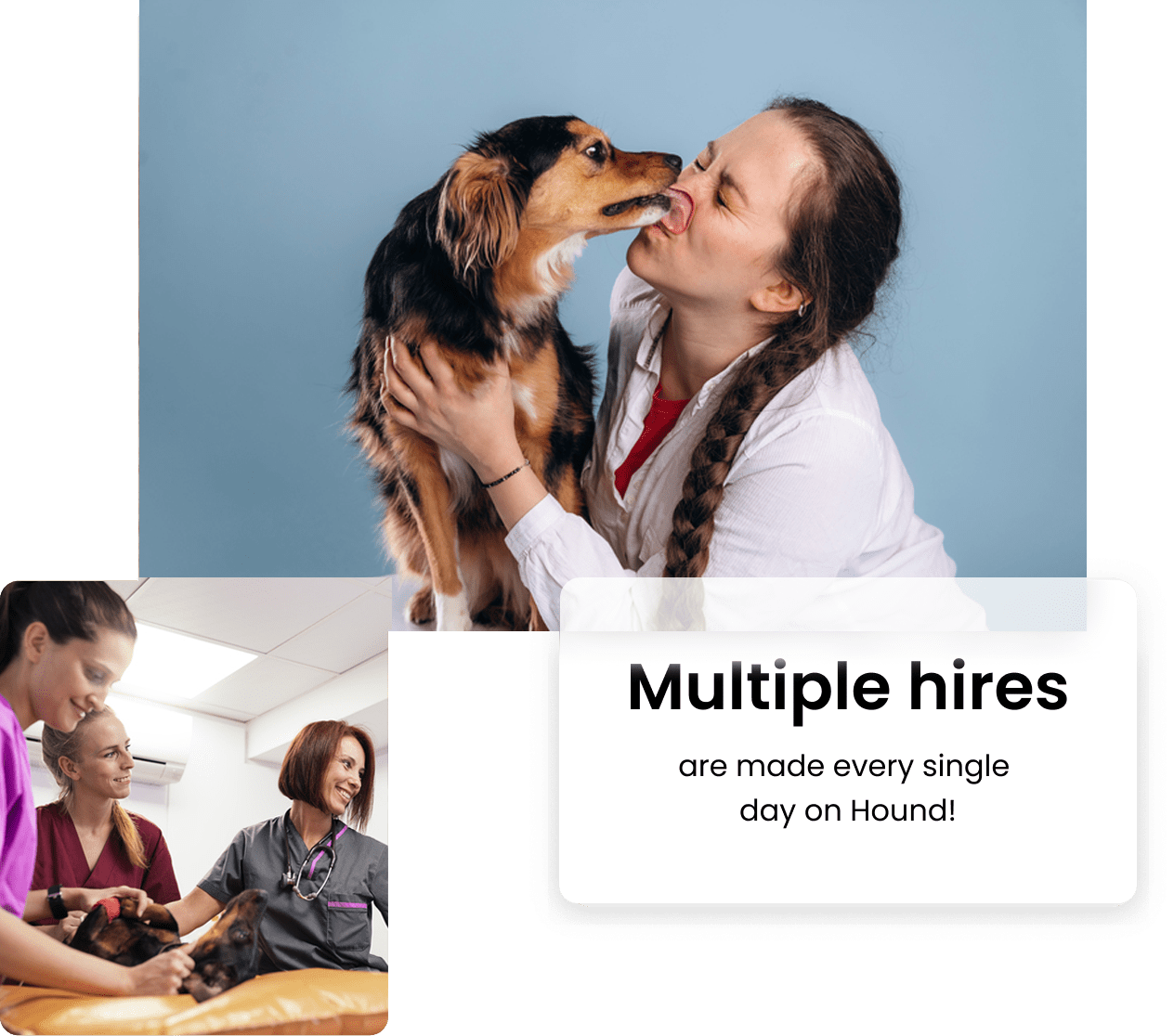 Dog licking vet's face and group of vets examining  a dog